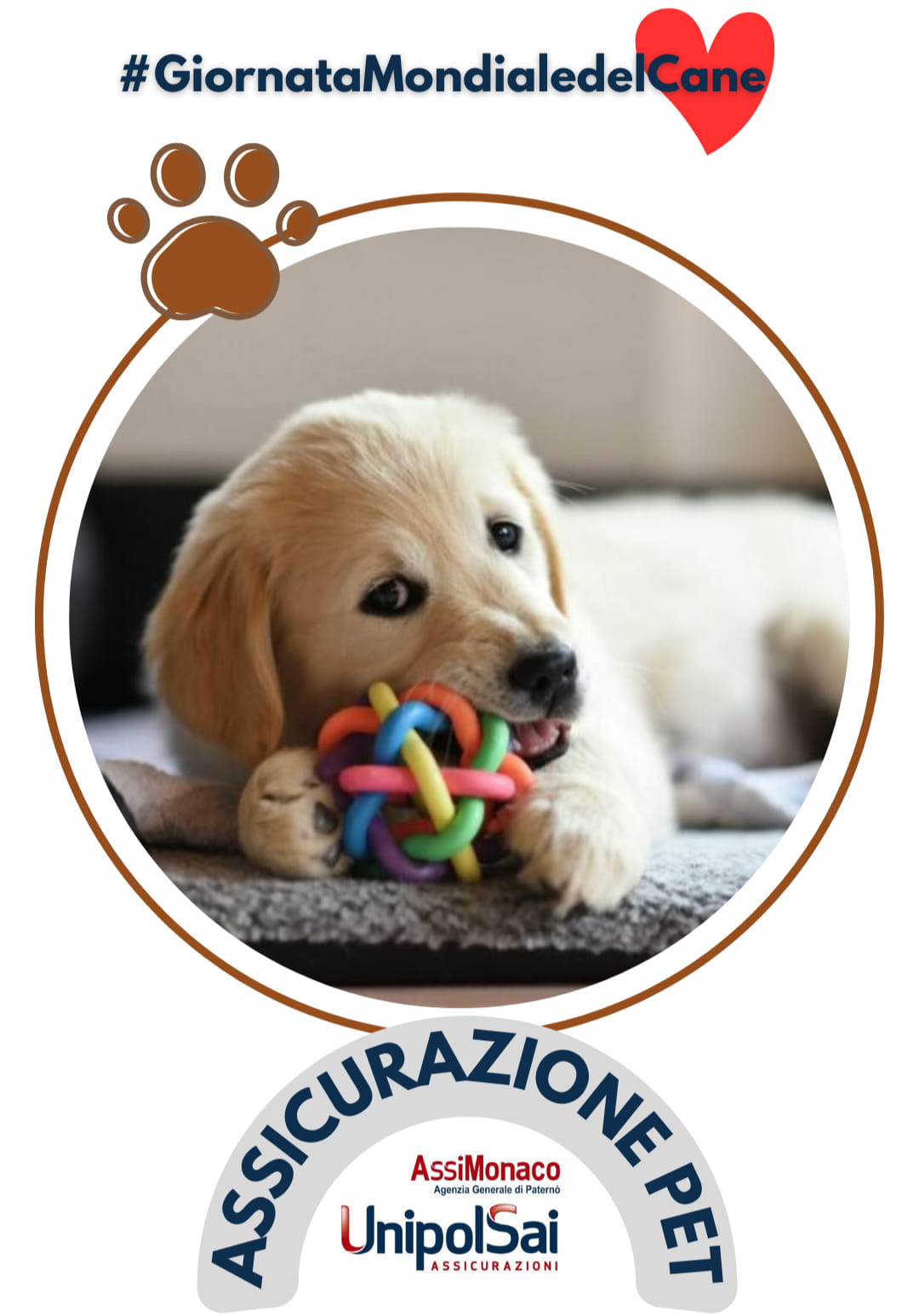 ASSICURAZIONE PET: sempre più clienti la scelgono